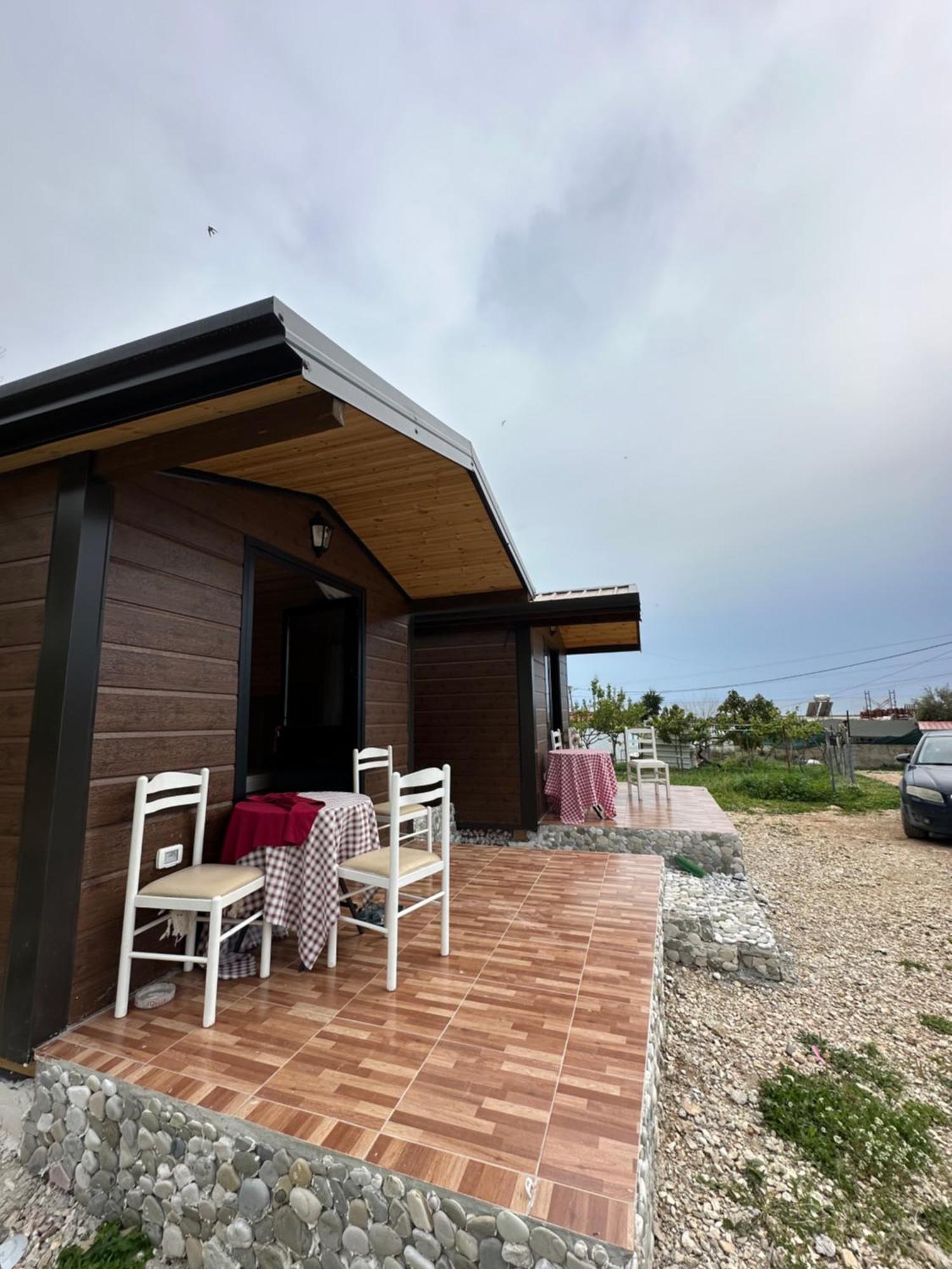 Tony Home Borsh Zimmer foto